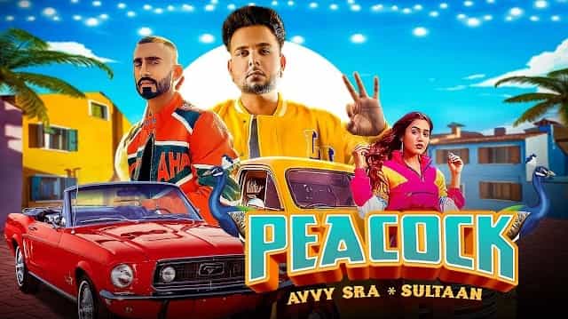 Peacock Lyrics – Avvy Sra | Sultaan Peacock Lyrics - Avvy Sra | Sultaan