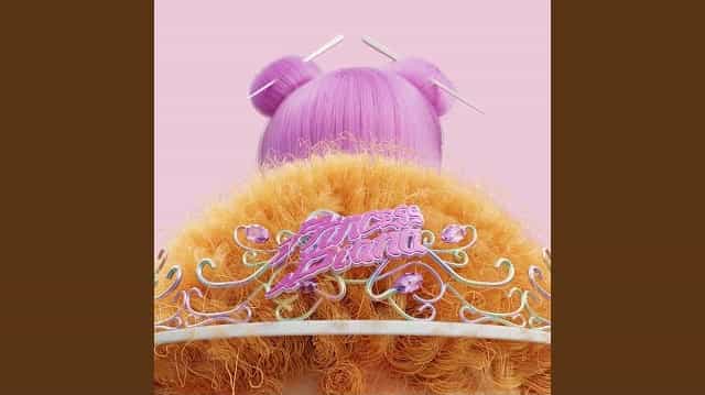 Princess Diana (Remix) Lyrics – Ice Spice Princess Diana (Remix) Lyrics - Ice Spice