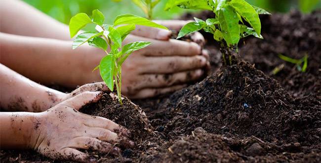 AMC Fashion Valley 18: An Ultimate Movie-Goer's Paradise