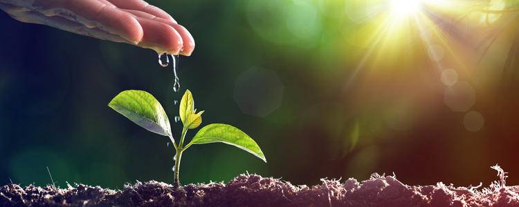 Rochelle News Leader: Your Source for Local News and Updates