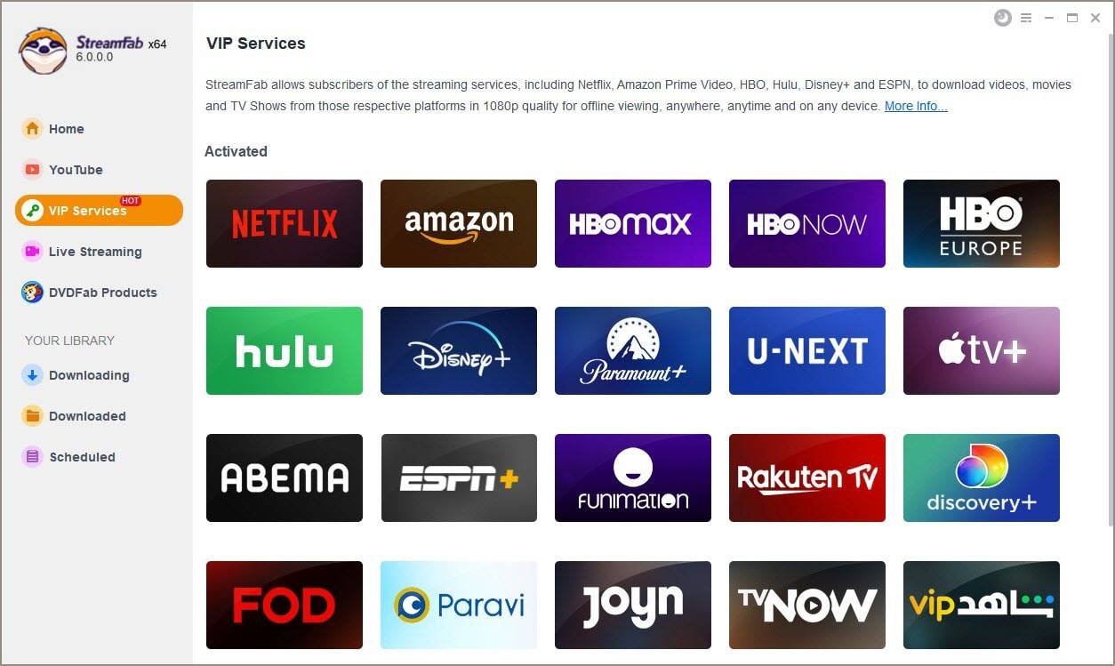 The Must-Have Netflix Video Downloader for Unlimited Entertainment
