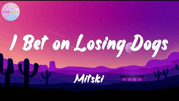 Full Lyrics Of I Bet On Losing Dogs Song Full Lyrics Of I Bet On Losing Dogs Song