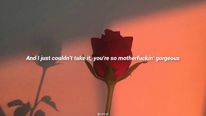 Full Lyrics Of She Tyler The Creator Song Full Lyrics Of She Tyler The Creator Song