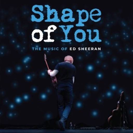 Shape Of You Lyrics With Video - Ed Sheeran | 2017 Song