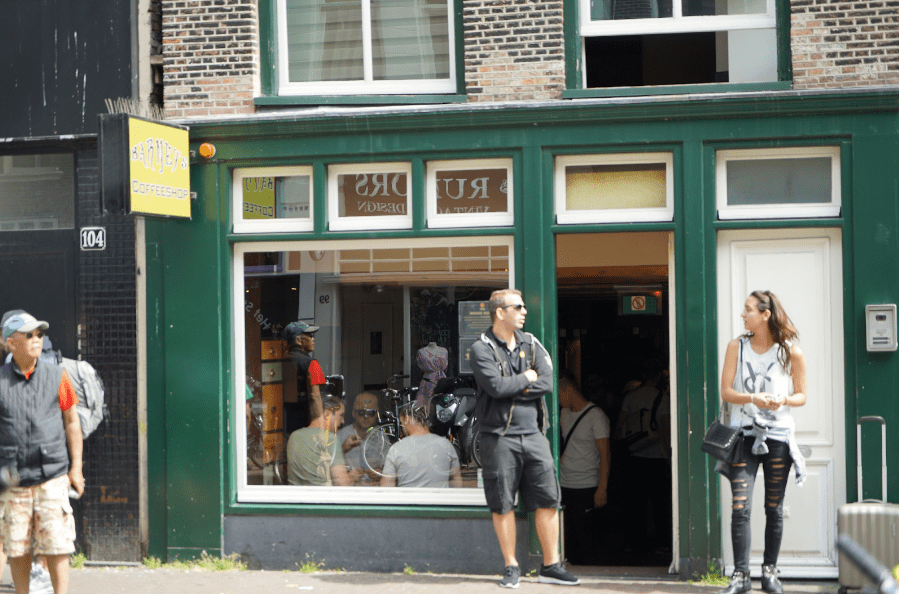 Barney's Farm Brings Premium Seeds to the USA