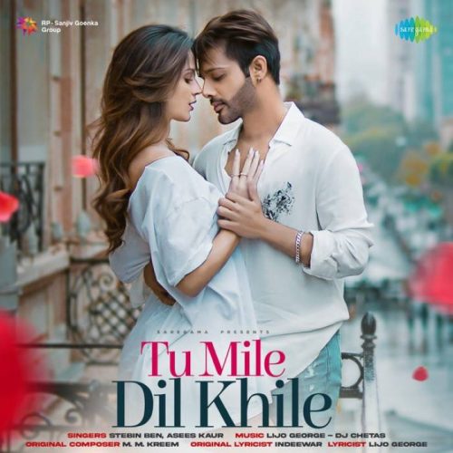 Tum Mile Dil Khile Lyrics With Video - Alka Yagnik | 2012 Song