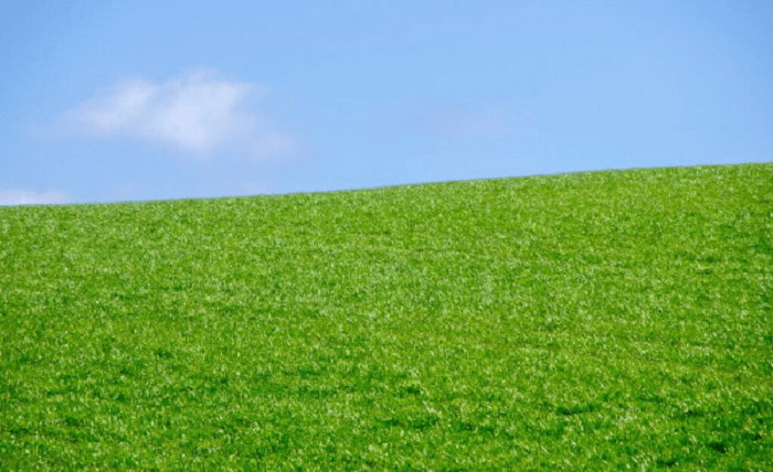Sustainability in Marketing and Supply Chains Sustainability in Marketing and Supply Chains