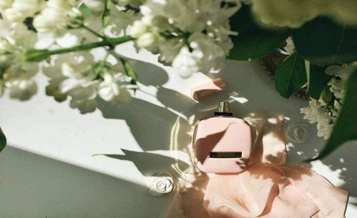 Tips to Choose the Perfect Fragrance Gift for Women Tips to Choose the Perfect Fragrance Gift for Women