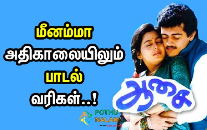 Meenamma Song Lyrics With Video – Aasai | 2022 Song Meenamma Song Lyrics With Video - Aasai | 2022 Song