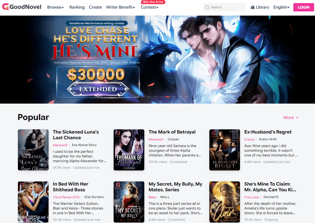 Web Novels 101: Your Gateway to Endless Story Adventures