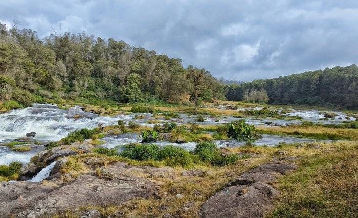 Things to Do in Ooty: Toy Train, Gardens & Sightseeing Explore Ooty Tourist Attractions and Activities